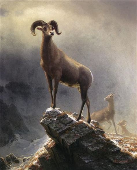 Rocky Mountain Sheep, c.1882 - c.1883 - Albert Bierstadt - WikiArt.org