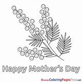 Mimosa For Kids Mothers Day Colouring Page sketch template
