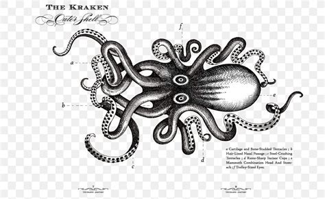 Kraken Rum Sea Monster Octopus, PNG, 720x504px, Kraken Rum, Art ...