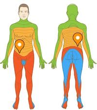 Spinal nerve T12 - e-Anatomy - IMAIOS