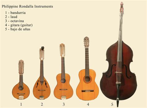 Getting To Know The Rondalla Instruments, 58% OFF