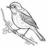 Premium Photo  Realistic Robin Coloring Pages For Children39s sketch template