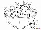Blueberry Coloring Pages Printable For Free Download sketch template