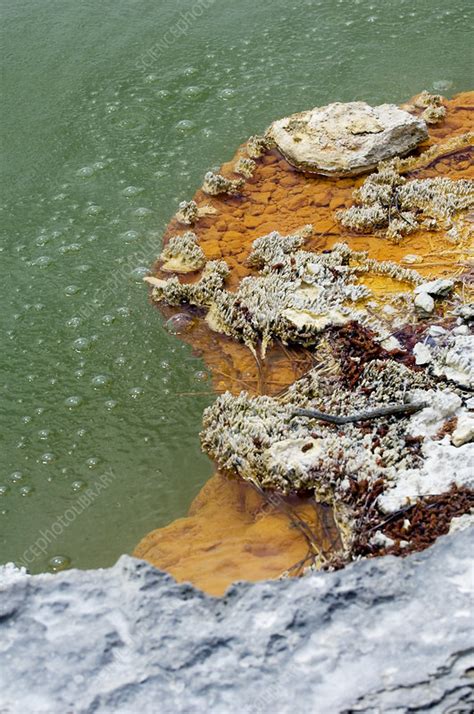 The Champagne Pool, New Zealand - Stock Image - E570/0289 - Science ...