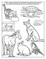 Pet Animals Coloring Pages At GetDrawings  Free Download sketch template