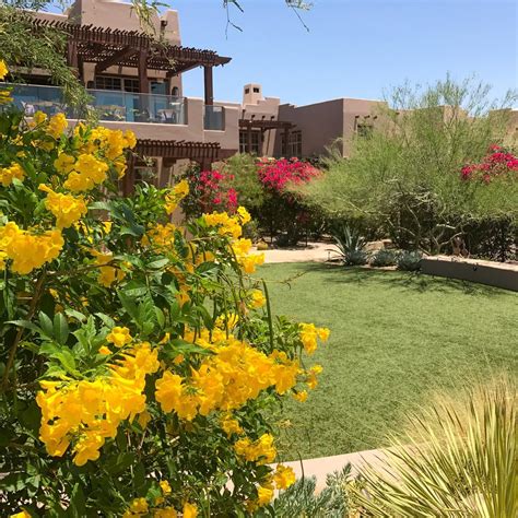 Four Seasons Scottsdale with Kids (Parent Review)