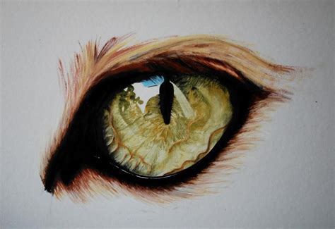 foxeye by parmentides on DeviantArt | Tiger art drawing, Animal paintings acrylic, Fox artwork