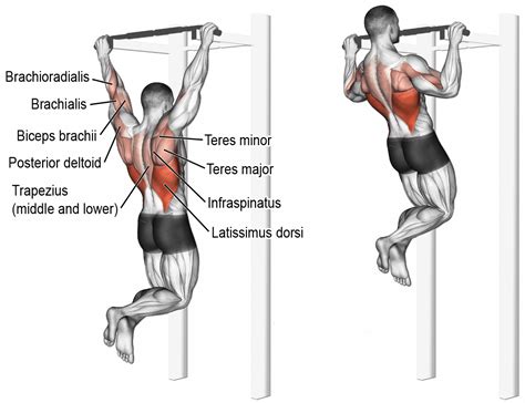 Chin ups vs Pull ups - hvad er forskellen?