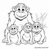 Ape Coloring Pages  Free & Printable sketch template
