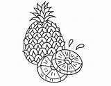 Pineapple coloring Pages  ColoringLib sketch template