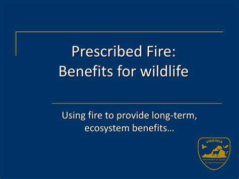 PPT - Prescribed Fire: Benefits for wildlife PowerPoint Presentation, free download - ID:3699158