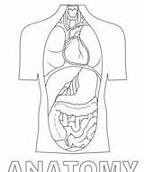 Anatomy Coloring Pages Printable For Free Download sketch template