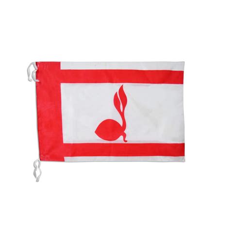 Bendera Pramuka Tunas Kelapa | Lazada Indonesia