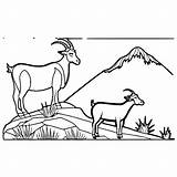 Goats On The Mountain Coloring Page · Creative Fabrica sketch template