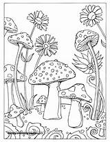 Free Printable Mushroom Coloring Pages sketch template