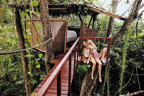 8 of the Best Airbnb Treehouses | The Coolector