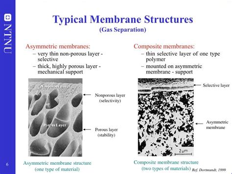 PPT - Process Integrated Membrane Separation - with Application to the ...