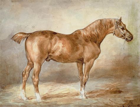 A Docked Chestnut Horse Painting by Theodore Gericault - Fine Art America