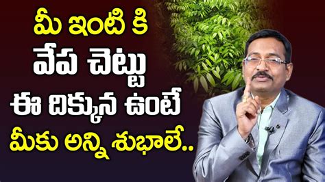 Vepa Chettu Vastu | Neem Tree Vastu in Telugu | Vastu for Trees at Home ...