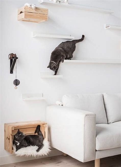 Cat climbing wall | Diy cat shelves, Cat room, Cat wall shelves