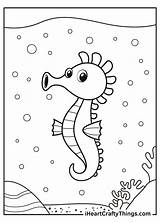 Seahorse Coloring Pages Updated 2021 sketch template