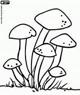 Group Of fungi  Páginas Para Colorir Fungos Desenho sketch template