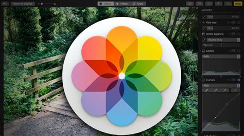 10 tips for mastering Apple's Photos app | Creative Bloq