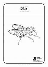 Cool Coloring Pages Fly coloring page  Free sketch template