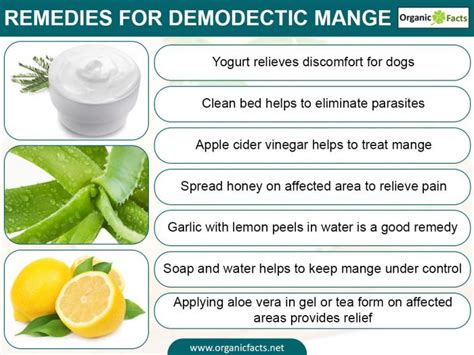 9 Effective Home Remedies for Demodectic Mange | Organic Facts