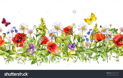 Meadow flowers clipart 20 free Cliparts | Download images on Clipground 2024