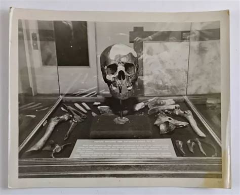1950S HUMAN REMAINS Artifacts Museum Display Pit 10 Exhibit Vintage Photo $12.50 - PicClick