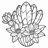 Floral Cactus Coloring Pages Beautiful Designs Of Cacti With Flowers  sketch template