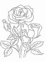 23 Printable Rose Coloring Pages  Just Kids sketch template