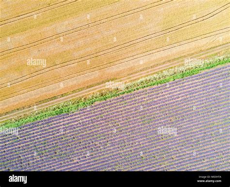 Aerial view of agricultural fields Stock Photo - Alamy