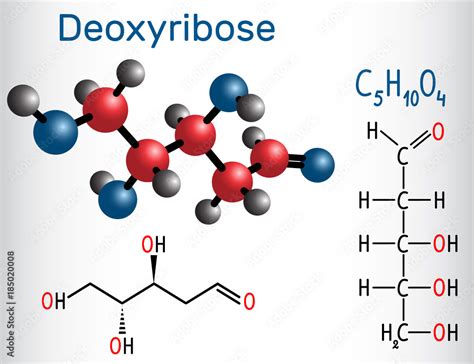 Linear form (acyclic) of Deoxyribose molecule, it is a monosaccharide ...