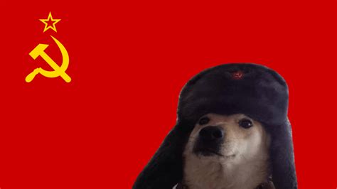 Communist Doge Admires Flag : r/pics