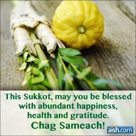 Pin by Hilary on Good wishes | Sukkot, Torah quotes, Jewish quotes