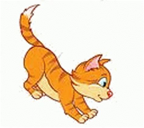 Cats Run GIF - Cats Run Excited - Discover & Share GIFs