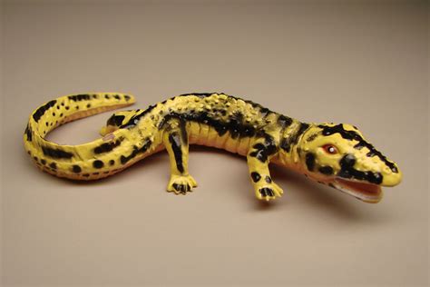 Prehistoric Amphibians