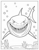 34 Shark Coloring Pages Free PDF Printables sketch template