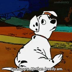 Dalmatians 101 GIF - Dalmatians Dalmatian 101 - Discover & Share GIFs