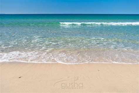 Forster Beach FO2618 – Gusha