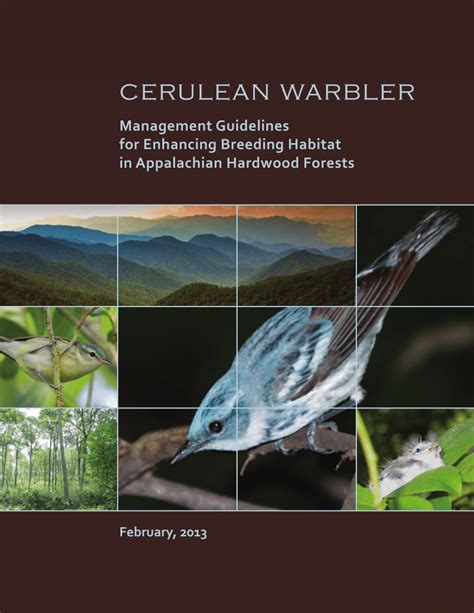 (PDF) Management guidelines for enhancing Cerulean Warbler breeding habitat in Appalachian ...