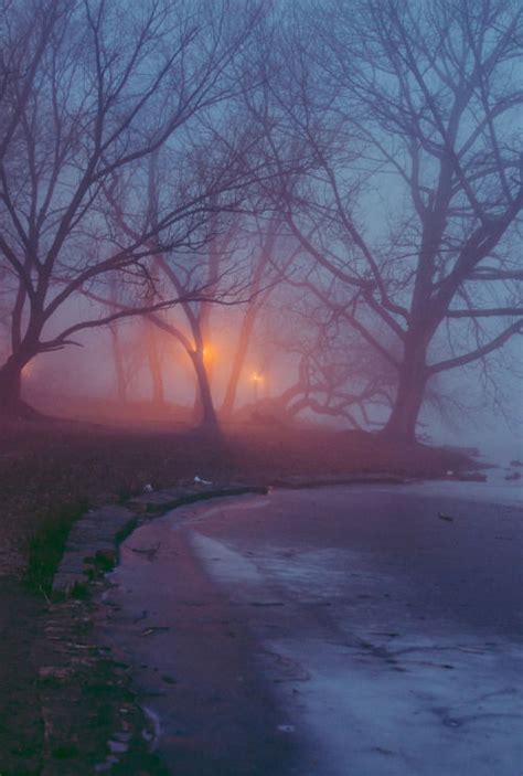 Foggy Night Pictures, Photos, and Images for Facebook, Tumblr, Pinterest, and Twitter