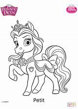 Palace Pets Petit coloring Page  Free Printable Coloring Pages sketch template