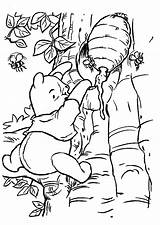 Guarda tutti I Disegni Da Colorare Di Winnie The Pooh Www  sketch template