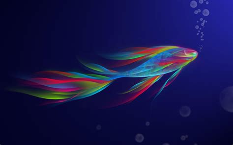 Colorful Fish Wallpapers - Top Free Colorful Fish Backgrounds - WallpaperAccess