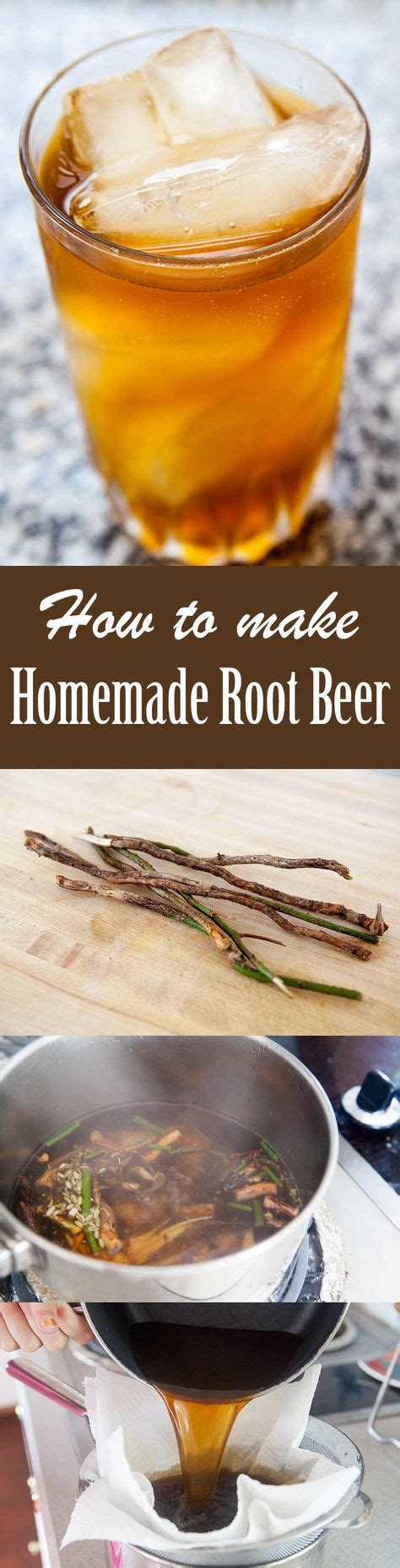 Homemade Sassafras Root Beer | Recipe | Root beer, Homemade, Sassafras root