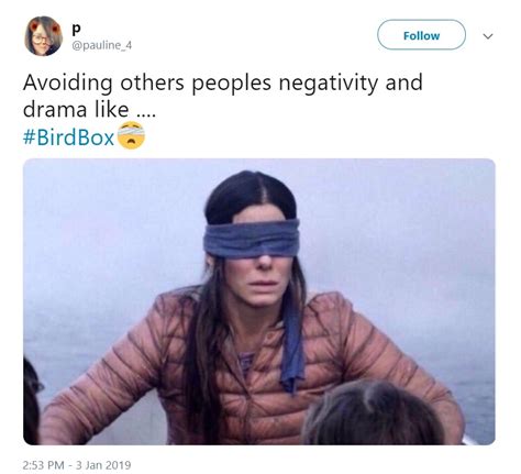 Best Bird Box Memes (9 Pics) - Gallery | eBaum's World