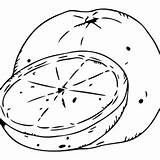 Grapefruit Coloring Pages Printable For Free Download sketch template